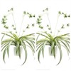 2pcs Artificial Hanging Plants With Pot,PE Plastic Faux Chlorophytum Comosum Hanging Plant Decor For Outdoor Indoor Home Garden Office - 3 of 4