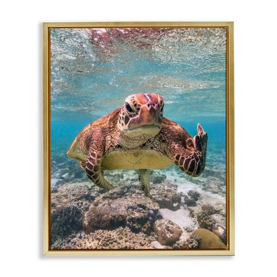 Stupell Industries Angry Turtle Middle Finger Black Framed Floater Canvas Wall Art