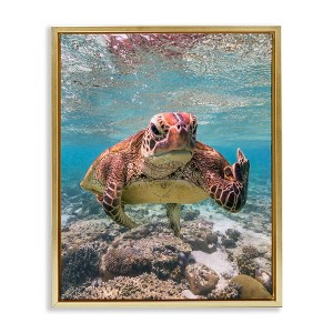 Stupell Industries Angry Turtle Middle Finger Black Framed Floater Canvas Wall Art - 1 of 4
