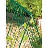 Deluxe Cucumber Trellis - Gardener's Supply Co. - image 3 of 4