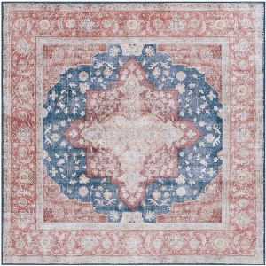 Tucson Vintage Persian TSN105 Power Loomed Machine Washable Skid-Resistant Indoor Rugs - Safavieh - 1 of 4