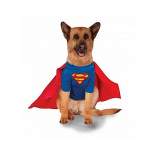 DC Comics Superman - Big Dogs Pet Costume