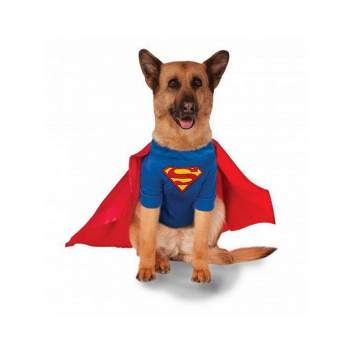 DC Comics Superman - Big Dogs Pet Costume