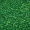 NFL Super Bowl LV Champions Tampa Bay Buccaneers 1.5'x6' Putting Green Mat - 4 of 4