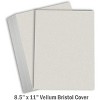 Hamilco Colored Carstock Paper Gray Bristol Vellum Card Stock for Scrapbook Craft 8 1/2 x 11" - 67lb Cover for Printer - 50 Pack - 2 of 4