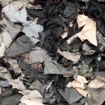 dark grey/multi