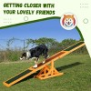 LAOTIES 71" Wooden Dog Agility Seesaw,Outdoor Pet Balance Ramp for Small to Large Dogs,Weather Resistant Dog Obedience Equipment - 4 of 4
