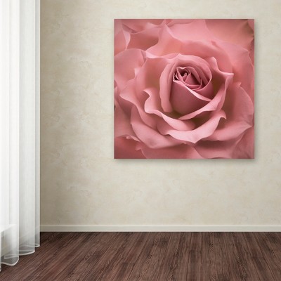 Misty Rose Pink Floral Canvas Art with Multicolor Frame