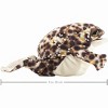 Folkmanis Puppets Hand Puppet Desert Rain Frog 3214 - 4 of 4