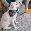 Pavilion Gift Company - Camo - 12" x 8" Canvas Slip on Pet Bandana - Pet Apparel Accessories - 2 of 4