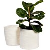 Juvale 2 Pack White Woven Basket Planters for Indoor Plants with Plastic Liner, Bohemian Style Decorative Storage for Home, 11 In - 4 of 4