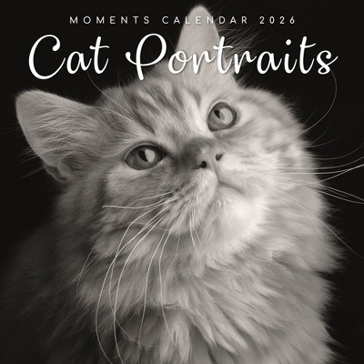 2026 Square Wall Calendar, Cat Shaming, 16-Month Humor Theme with 180 Reminder Stickers (12x12 In)