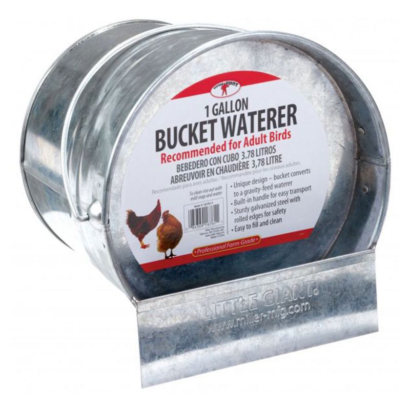 Little Giant 1-Gallon Galvanized Steel Poultry Bucket Waterer w/ Built-In Handle, 1 of 7