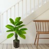 LCG Florals 36" Artificial Rubber Plant in Rattan Basket - Indoor Faux Floor Plant, Moss Filler - 2 of 4