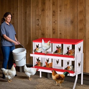 TackView Chicken Nesting Box, Hens Egg Nest Box, Metal Chicken Laying Box House with Rollout Egg Collection and Protective Lid - 1 of 4