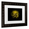 Trademark Fine Art - Brian Carson Backyard Flowers 67 Matted Framed Art - image 3 of 4