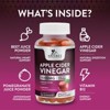 Nature's Nutrition Apple Vinegar Gummy for Weight Loss 1000mg - Vegan Apple Cider Vinegar Gummies for Detox & Cleanse, ACV - 120 Gummies - 2 of 4