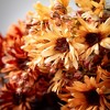 18"H Sullivans Artificial Cheery Fall Cosmos Bundles Set of 3, Multicolor, Indoor Fall Decor - 2 of 4