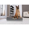 TailZzz Snuggle Pet Bolster 2-in-1 Cool Gel Infused with High Density foam Mattress with Bumper  Anti-Slip Pet Mattress Bed Orthopedic Pet Mattress - 3 of 4