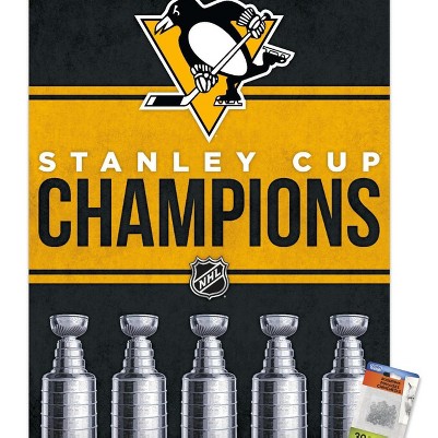 clear push pins bundle