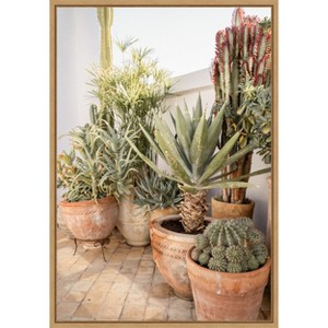 Amanti Art Patio Garden with Potted Succulents by Henrike Schenk Canvas Wall Art Print Framed - 1 of 4