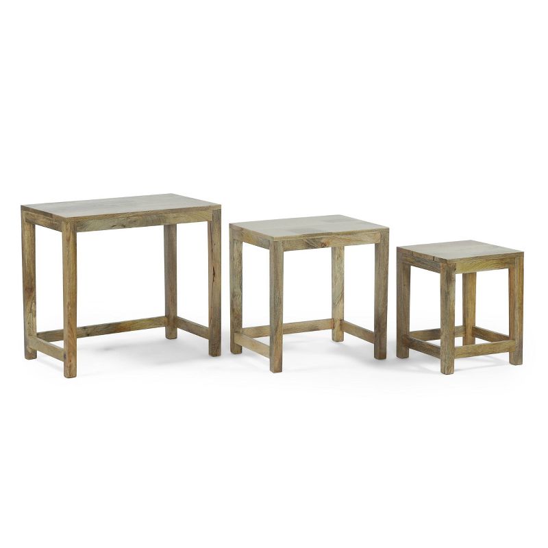 Set of 3 Trautman Rustic Handcrafted Mango Wood Nested Side Tables Natural - Christopher Knight Home, 1 of 8
