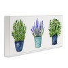 Stupell Industries Varied Potted Plants & Herbs, 24" x 10" - 3 of 4
