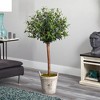Nearly Natural 4.5-ft Olive Topiary Tree with European Barrel Planter - 2 of 2