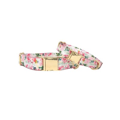 Pink Papyrus Isabella Dog Collar