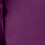 plum purple