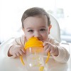 Dr. Brown's Milestones 9 fl oz Baby's First Straw Cup - 3 of 4