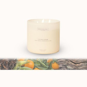 Benevolence LA Golden Luster Scented Candle 15oz, 50-Hour Burn - 1 of 4