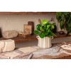 LiveTrends Large Linea Ceramic Indoor Planter Pot Terracotta Orange 6.5"x6.5"x5.5" - 3 of 4