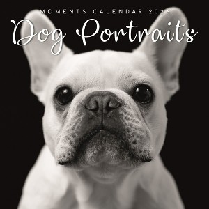 2026 Square Wall Calendar, Dog Portraits, 16-Month Black and White Photos with 180 Reminder Stickers (12x12 In) - 1 of 4