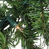 Northlight 9' x 8" Prelit Canadian Pine Artificial Christmas Garland - Clear Lights - 2 of 4
