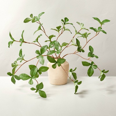 Small 11" Faux Gypsophila Leaf Arrangement - Hearth & Hand™ with Magnolia