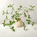 Faux Gypsophila Leaf Arrangement - Hearth & Hand™ with Magnolia