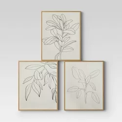 (Set of 3) 16" x 20" Leaf Illustrations Framed Wall Canvas - Opalhouse™