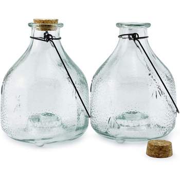 Darware Clear Glass Wasp Traps (2-Pack); Wasp Catchers for Garden and Home Use