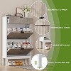 Shoe Storage Cabinet with 2 Flip Drawers And A Drawer, Entryway Cabinet with Adjustable Shelves - 2 of 4