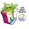 Mintra Garden - 6.75in Square Garden Pot - 3 of 4