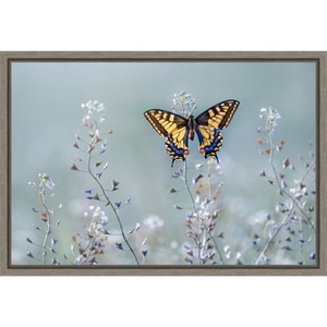 Amanti Art Swallowtail beauty (butterfly) by Petar Sabol Canvas Wall Art Print Framed 23-in. x 16-in. - 1 of 4