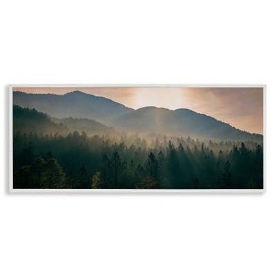 Stupell Industries Morning Sun over Misty Trees, 24" x 10"