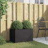 Aghana Digitals Black Minimalist Cold-Rolled Steel Planter: Indoor/Outdoor Rectangular - 3 of 4