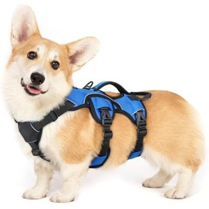 rabbitgoo Escape Proof Dog Harness, Soft Padded Full Body Pet Harness, Reflective Adjustable No Pull Vest  Hiking Training, S, Blue - 1 of 1