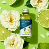 Grove Co. Citron & White Rose Glass Cleaner Concentrates - 2ct - 3 of 4