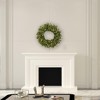 Vickerman Artificial 30" Cashmere Pine Wreath Battery Operated - 4 of 4