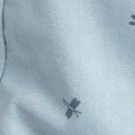 dragonflies