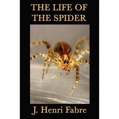 The Life of the Spider - by  J Henri Fabre (Paperback)