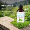 Majestic Pure Peppermint Essential Oil with Dropper - 100% Pure and Natural Premium Grade - 1 Fl Oz - Pack of 2 - 3 of 4